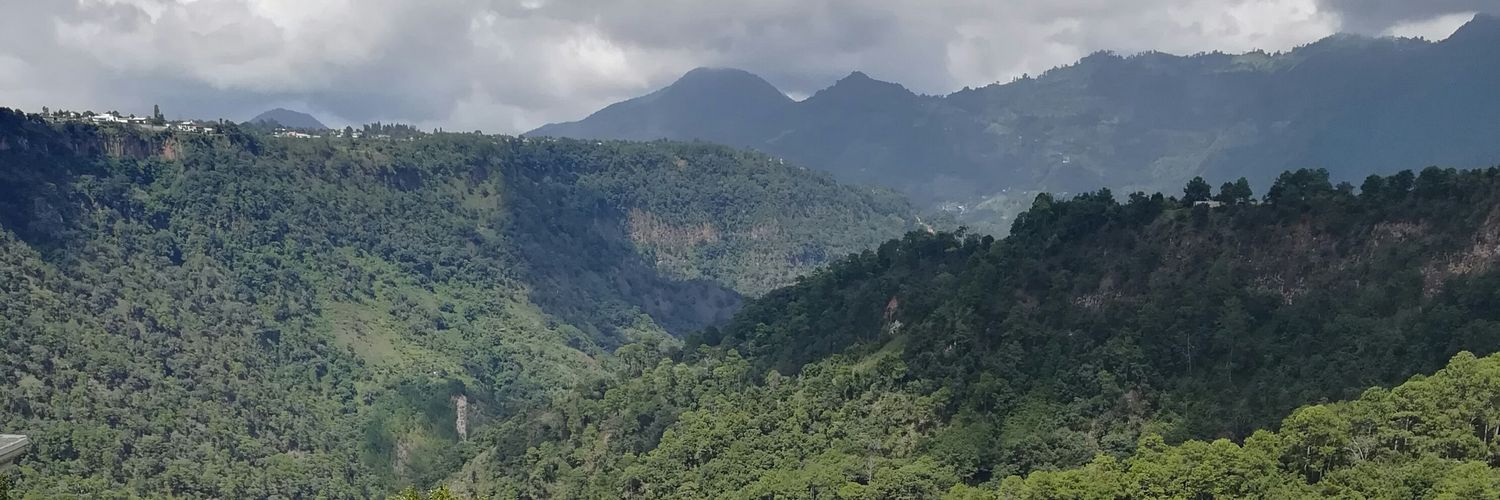 Danielodpm's profile banner image