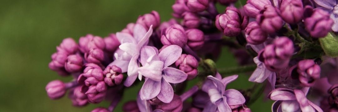 SelcanBy's profile banner image