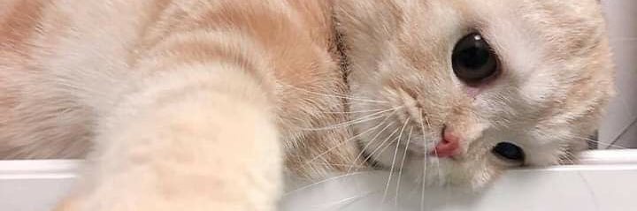 ㅇ banner