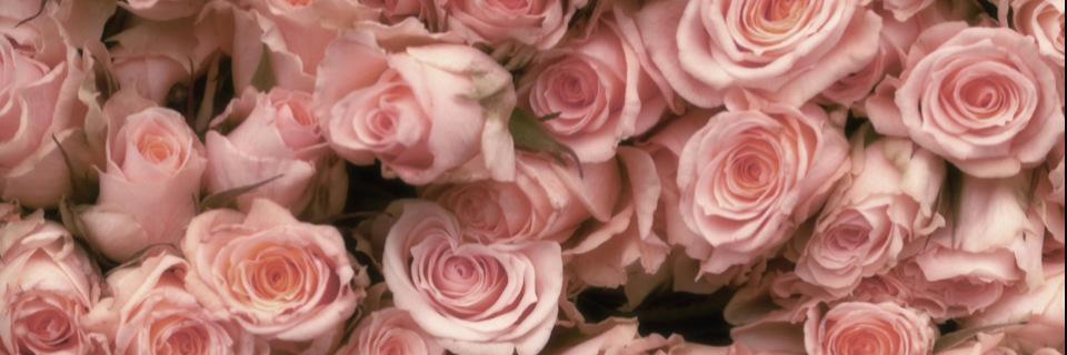 imogen_x_'s profile banner image