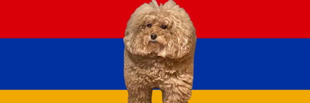 KeFeng 🇩🇪 🇪🇺 banner