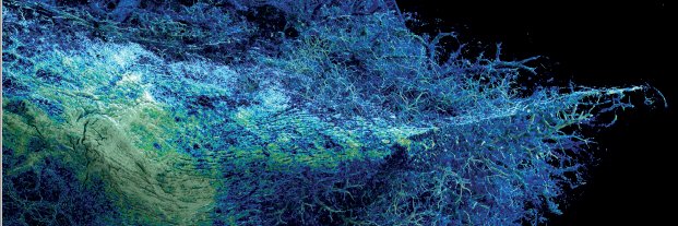 eBioMedicine – The Lancet Discovery Science's banner