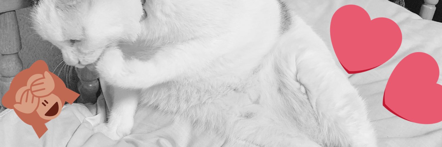 shokora345's profile banner image