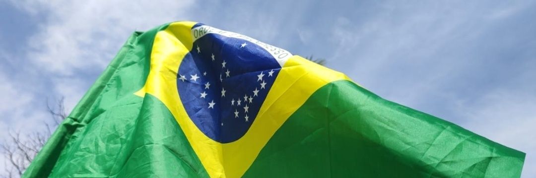 Flávio Pinto banner