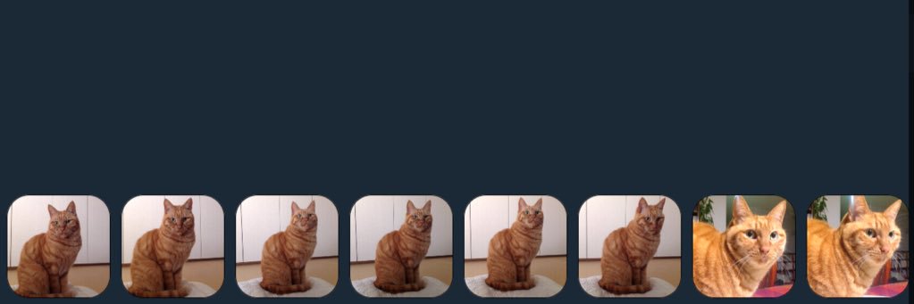 야옹 파탈 banner