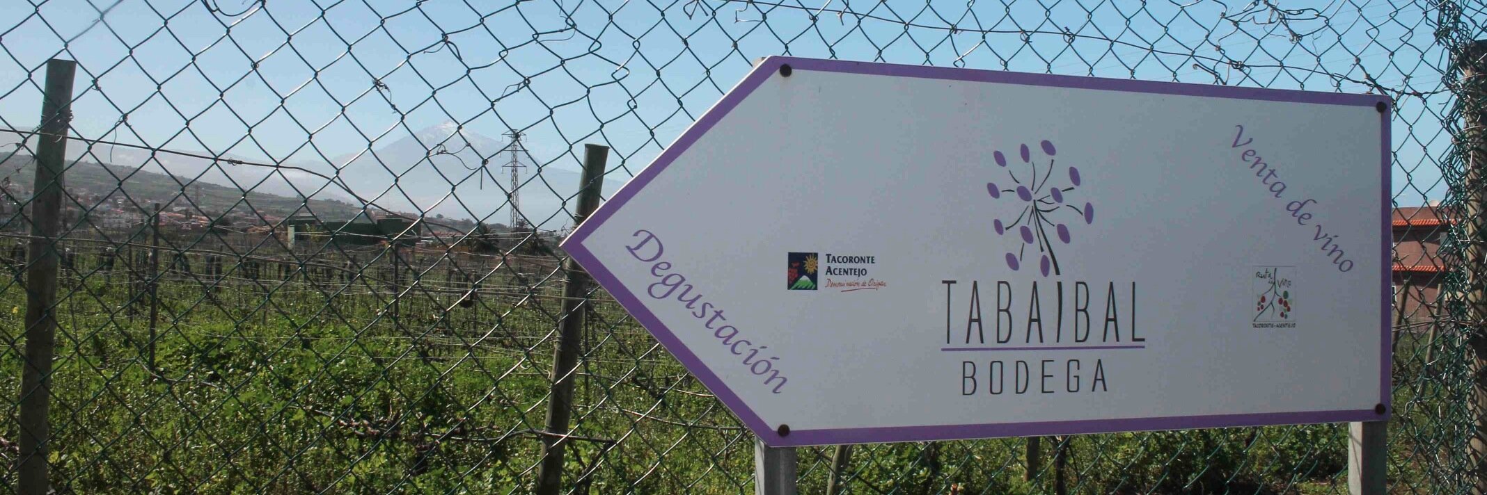 TabaibalBodega's profile banner image