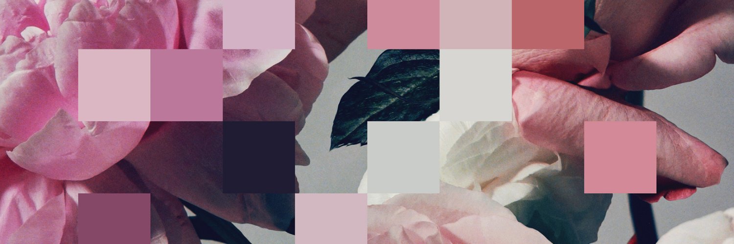 _kviko's profile banner image