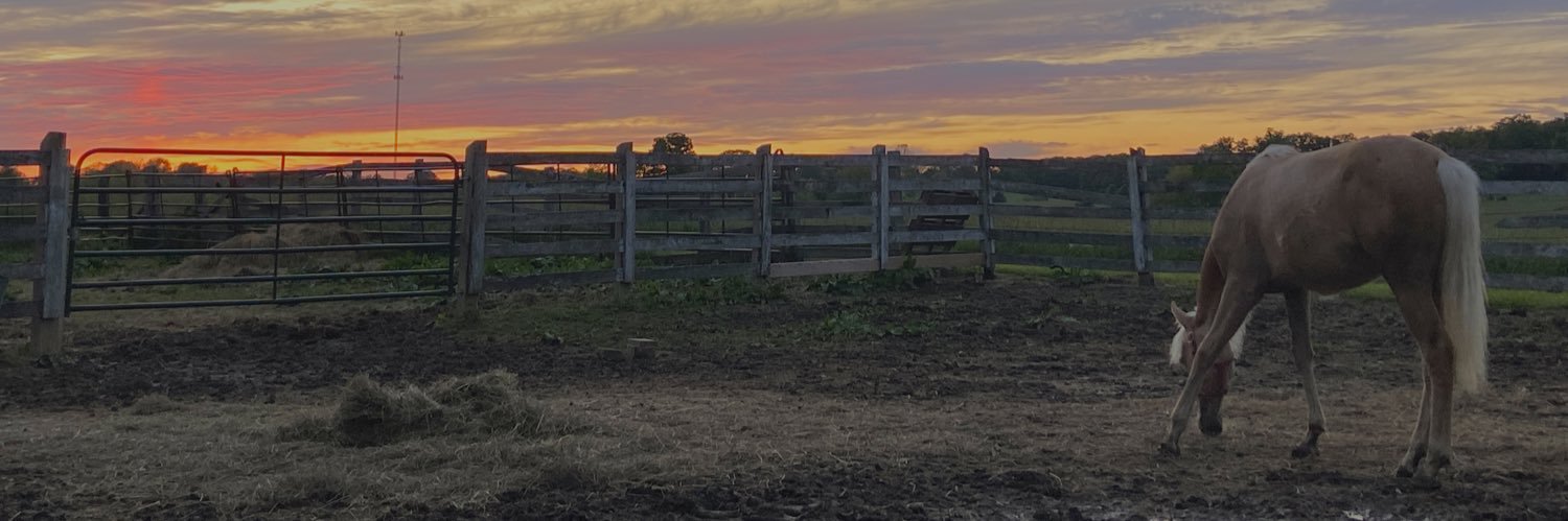 leahhill72's profile banner image