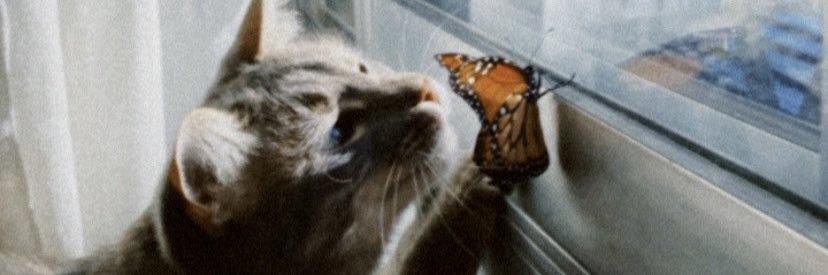 brisagirola's profile banner image