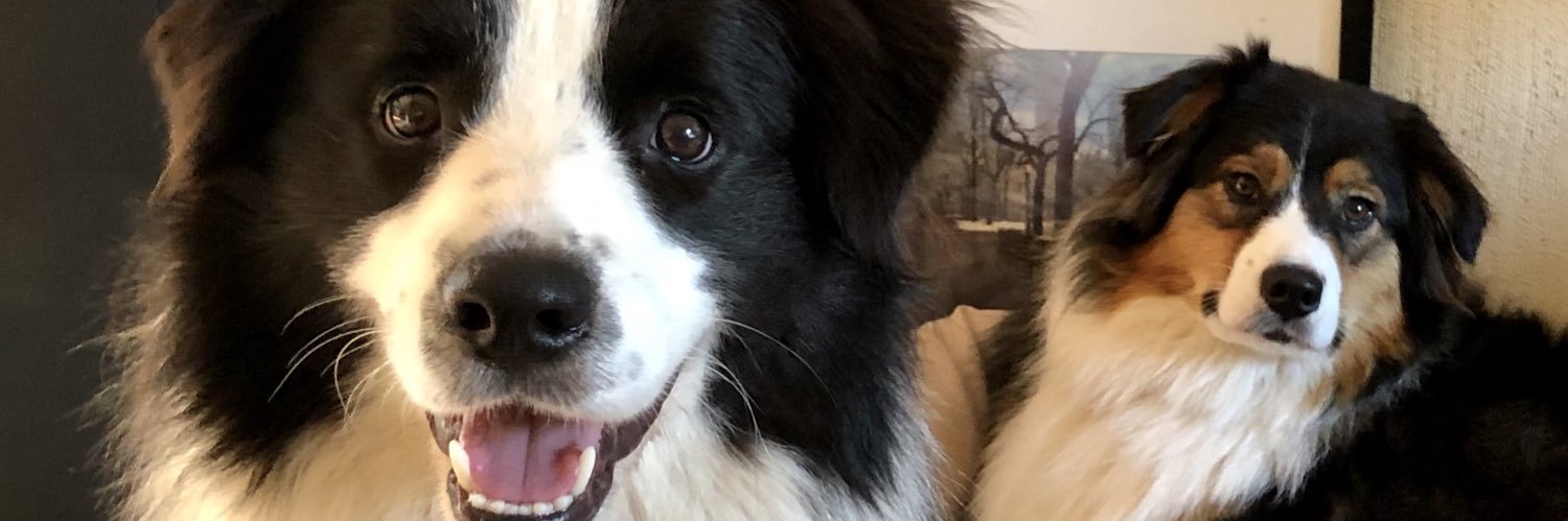 Patrick Burton banner