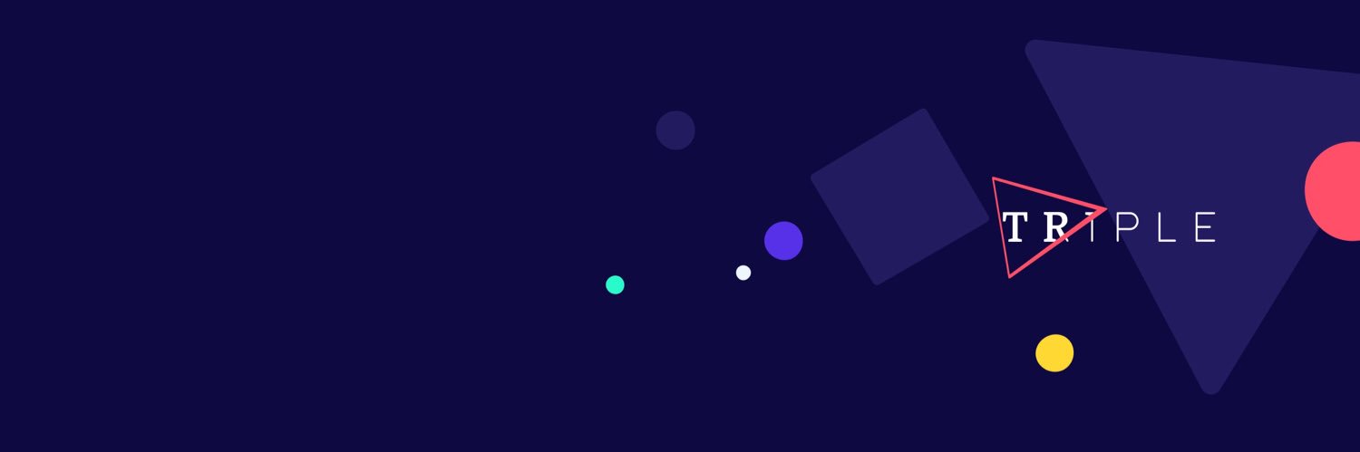 Sander de Vries banner