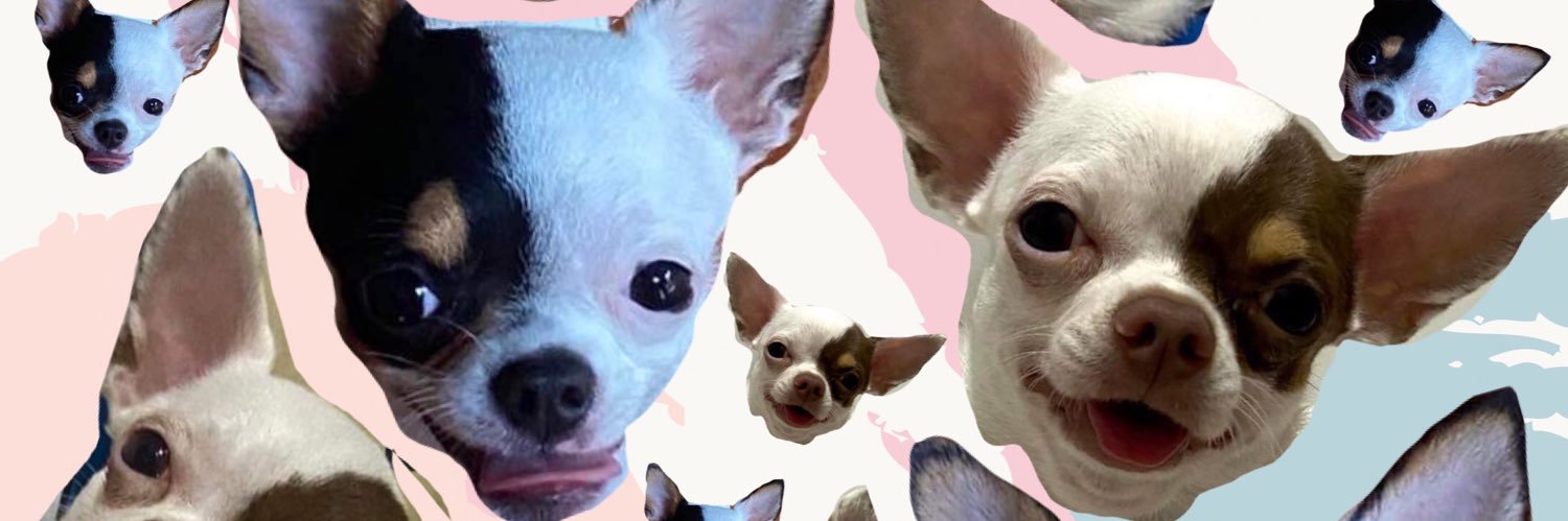 fffladda's profile banner image