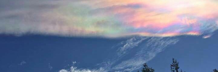 cellenehc's profile banner image
