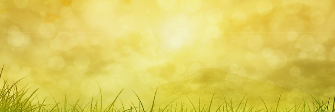 M_D333's profile banner image
