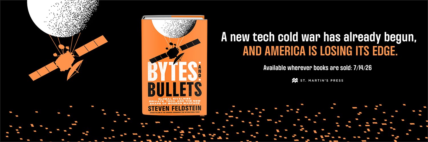 Steven Feldstein banner