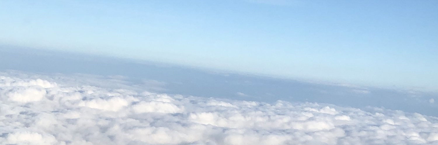 niimble's profile banner image