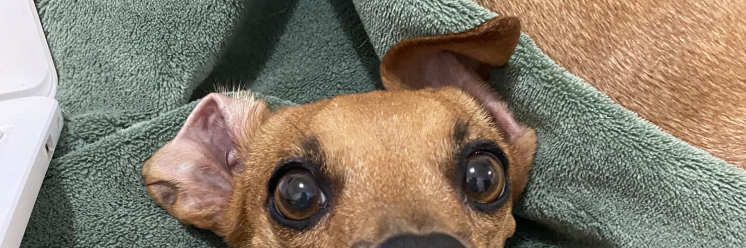 bittmp's profile banner image
