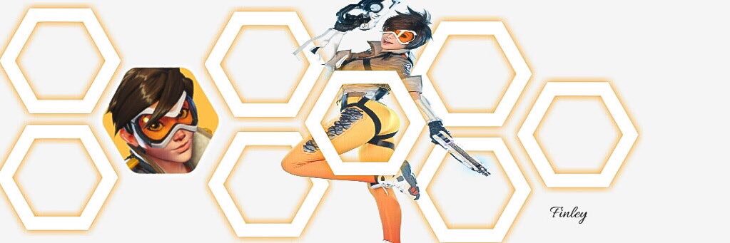 Finley banner