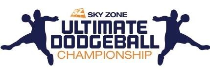 HTXDodgeball's profile banner image