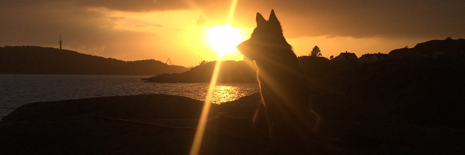 FVNeivind's profile banner image