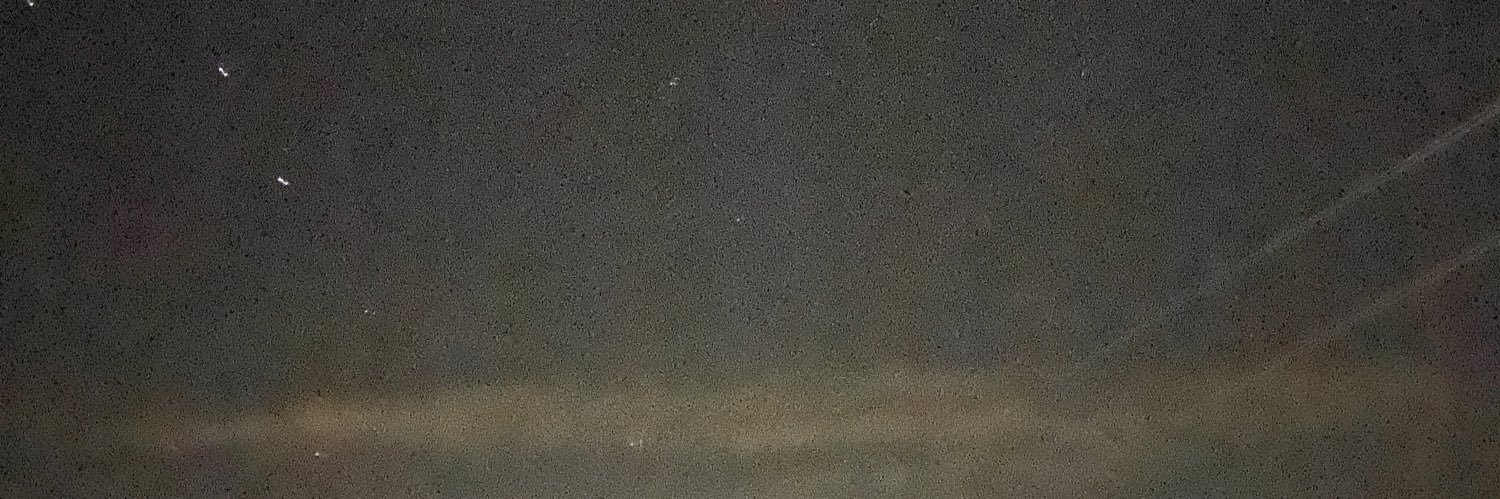 shelbysusanne_'s profile banner image