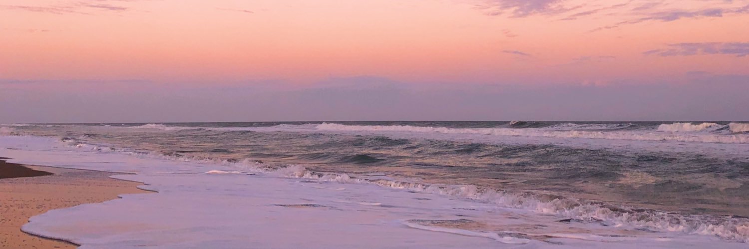 FioreDibono's profile banner image