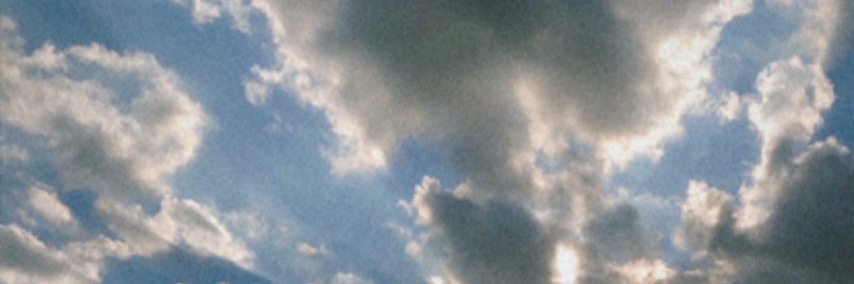 nickoliveiraof's profile banner image