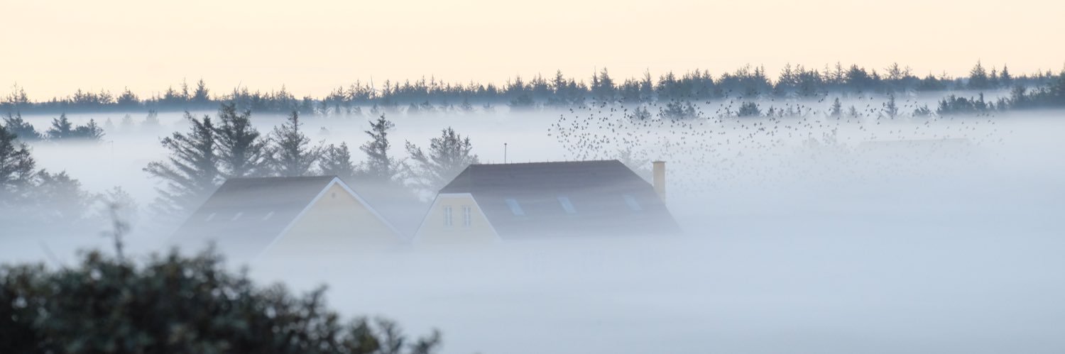 AnnePeddersen's profile banner image