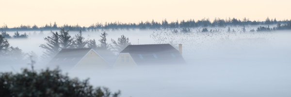 AnnePeddersen Profile Banner