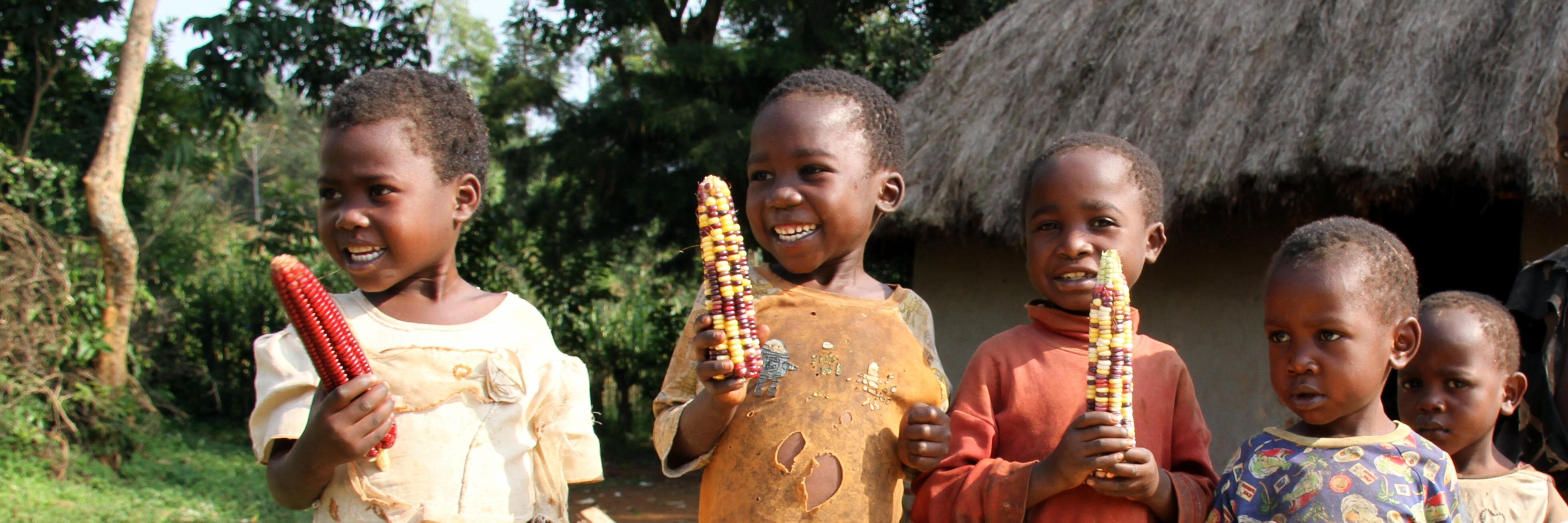 MEAS Extension banner