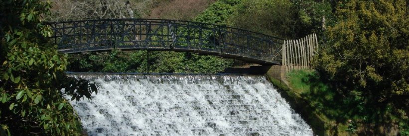davidgoddin's profile banner image