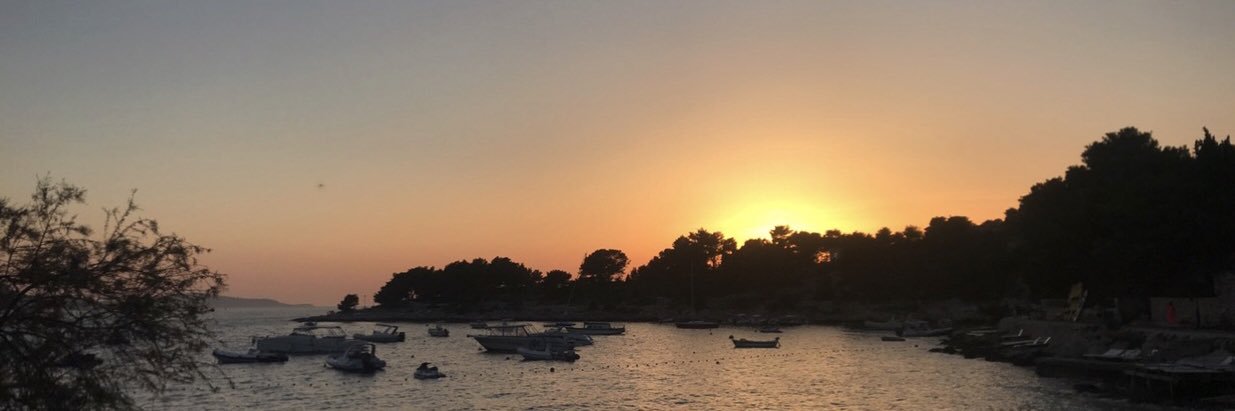 Verity Carson banner