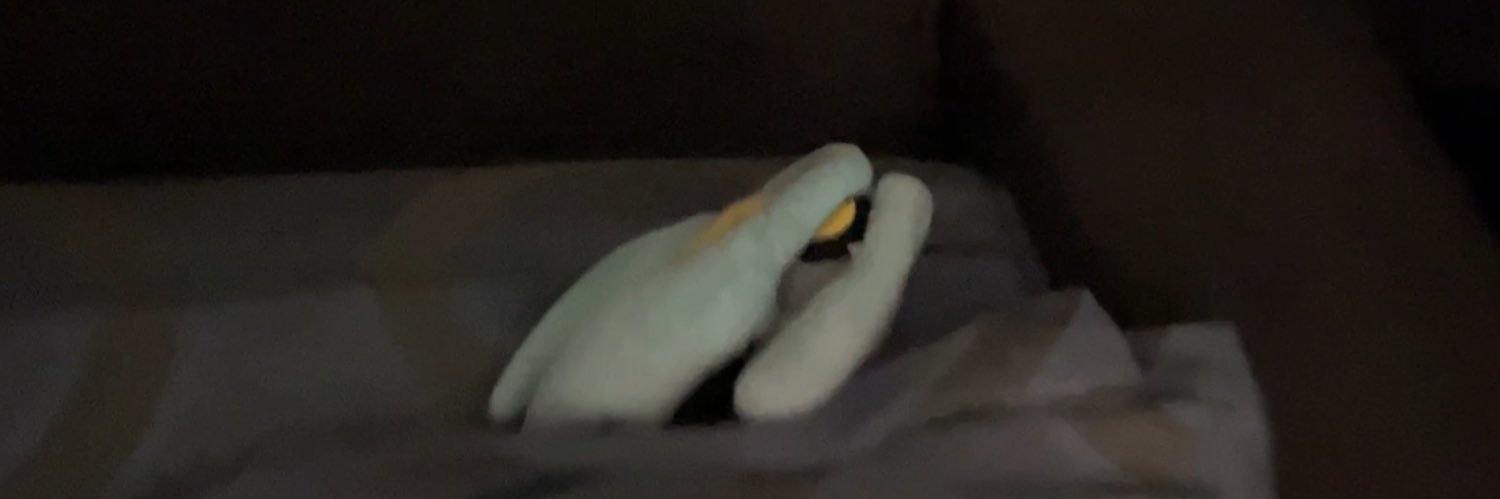 AnthoShaffer487's profile banner image