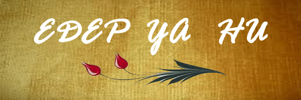 Okanunl's profile banner image