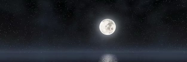 RayanShayea's profile banner image