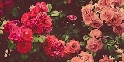 denedraaa's profile banner image