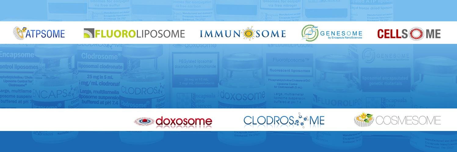 Liposomes's profile banner image