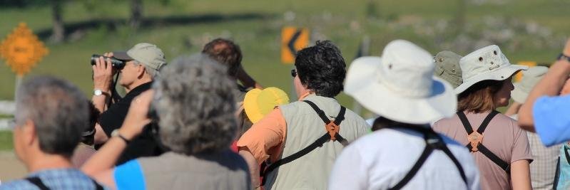 HuronBirdfest's profile banner image