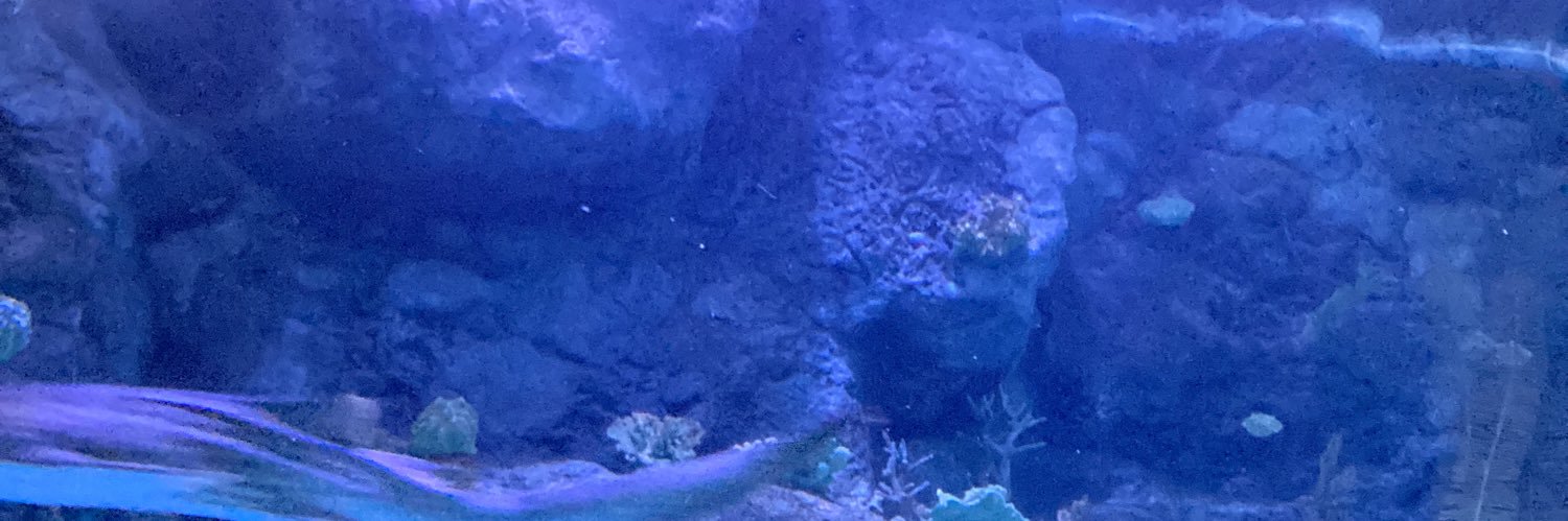 Cannonball- 🇺🇸🇺🇸🇺🇸 banner