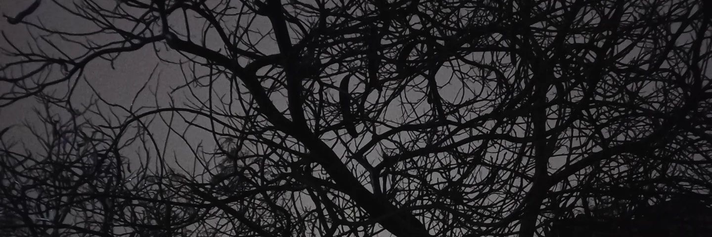 gothicarus's profile banner image