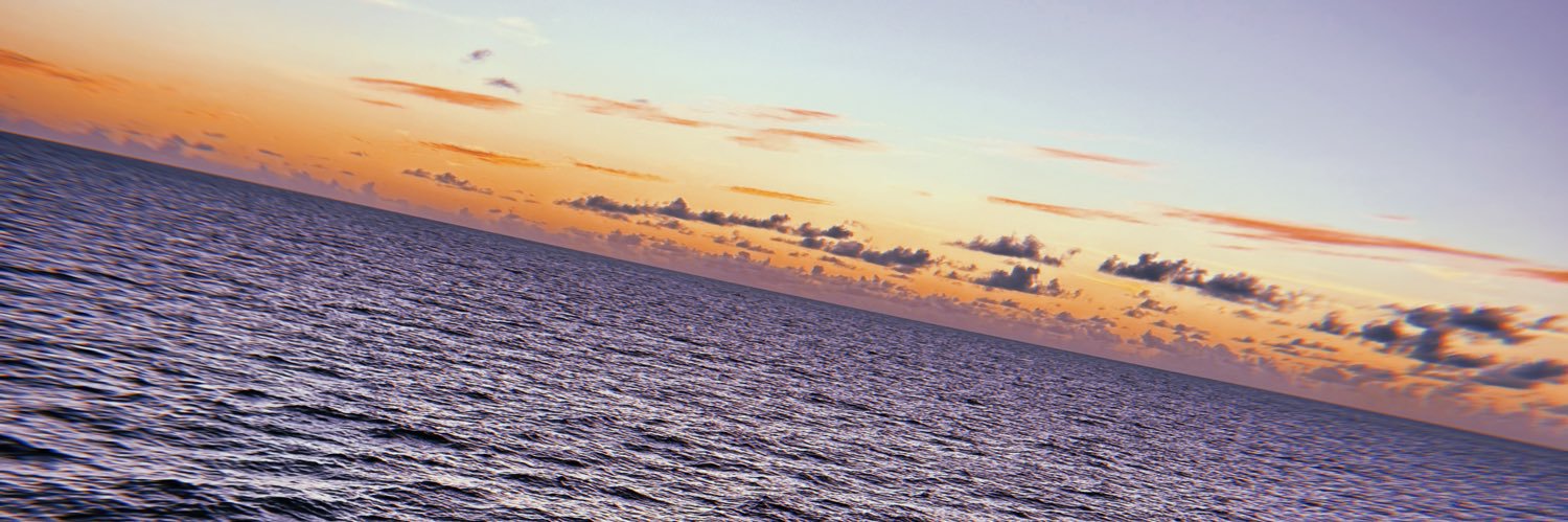 Bella_Johnson5's profile banner image