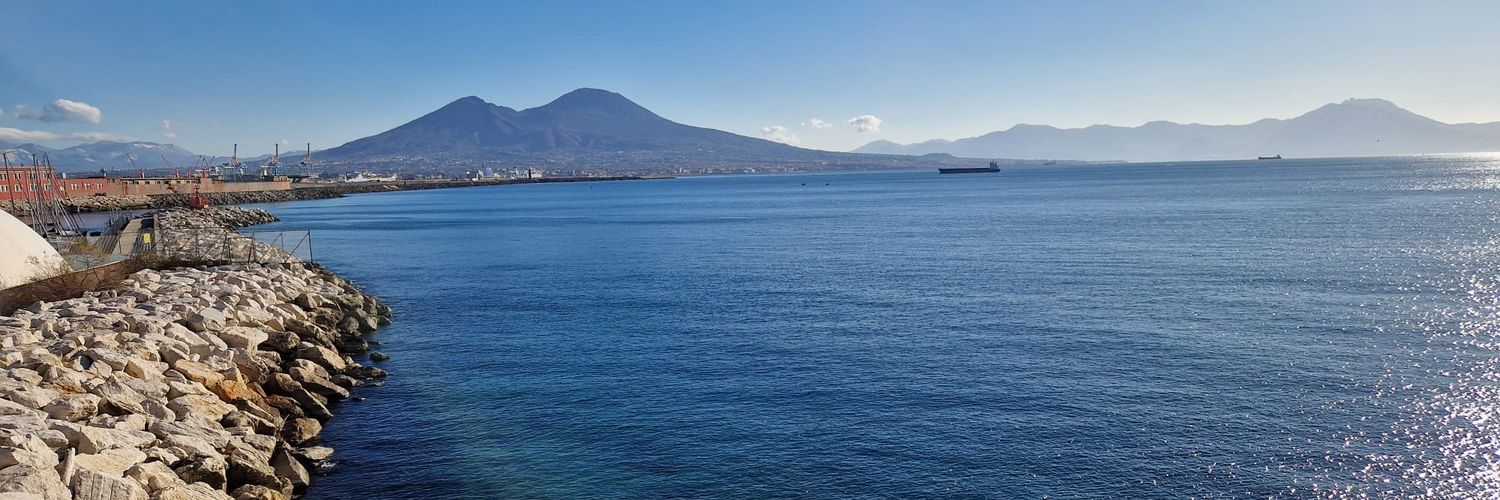 Filomena Di Cosimo  banner