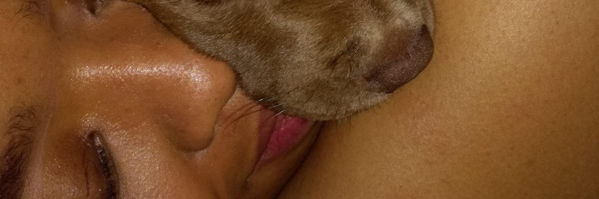 zide_b's profile banner image