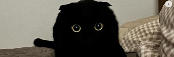abcdbim124's profile banner image