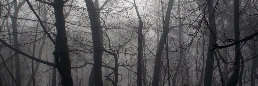 ezmelamorte's profile banner image