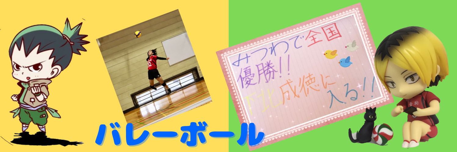 koji🌻 banner