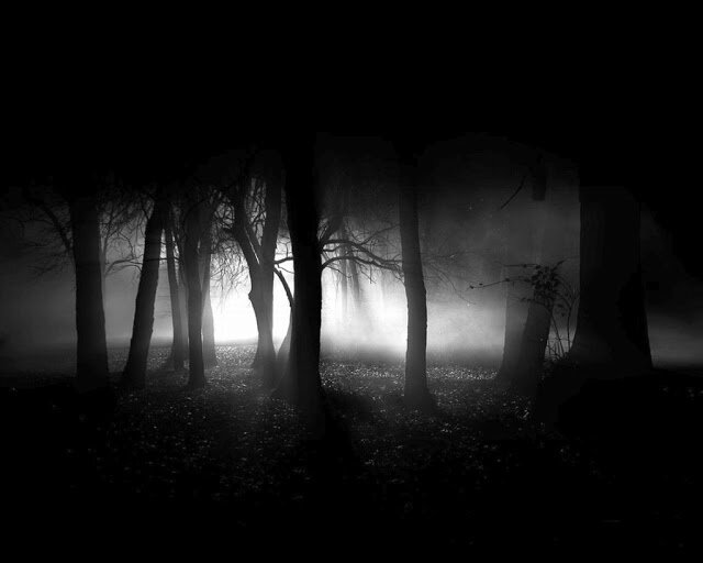 ettheoyz's profile banner image