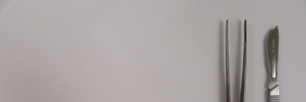 Canadian_PEh Profile Banner