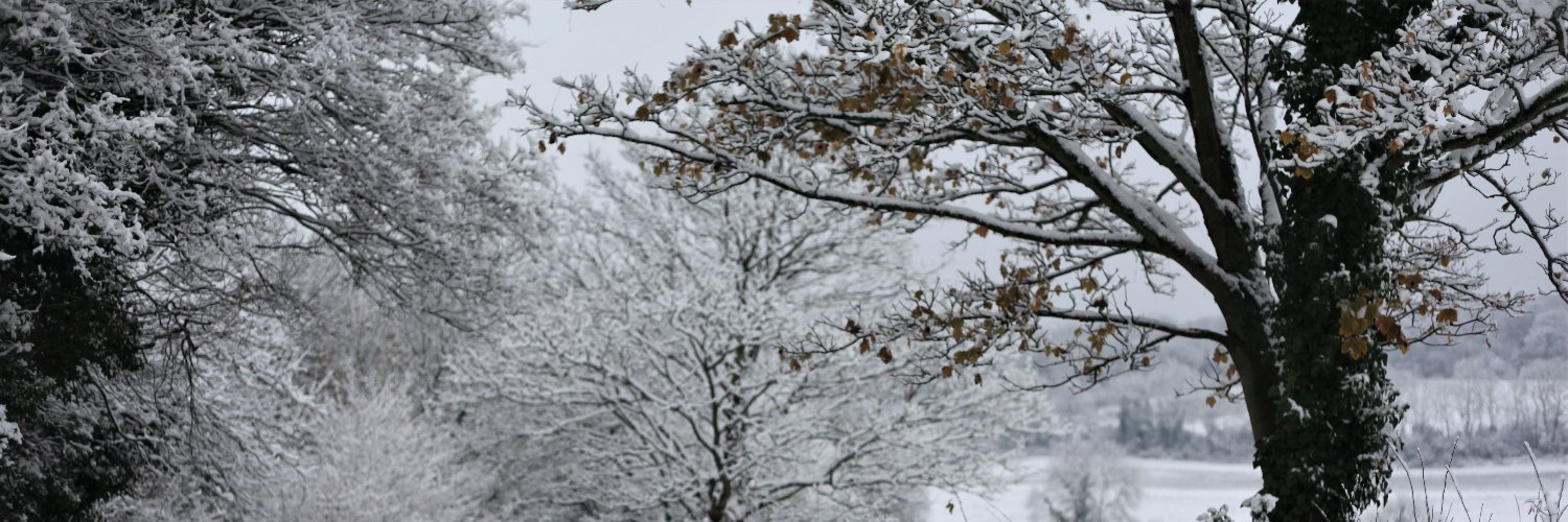 ShimmeringMoonPhoto banner