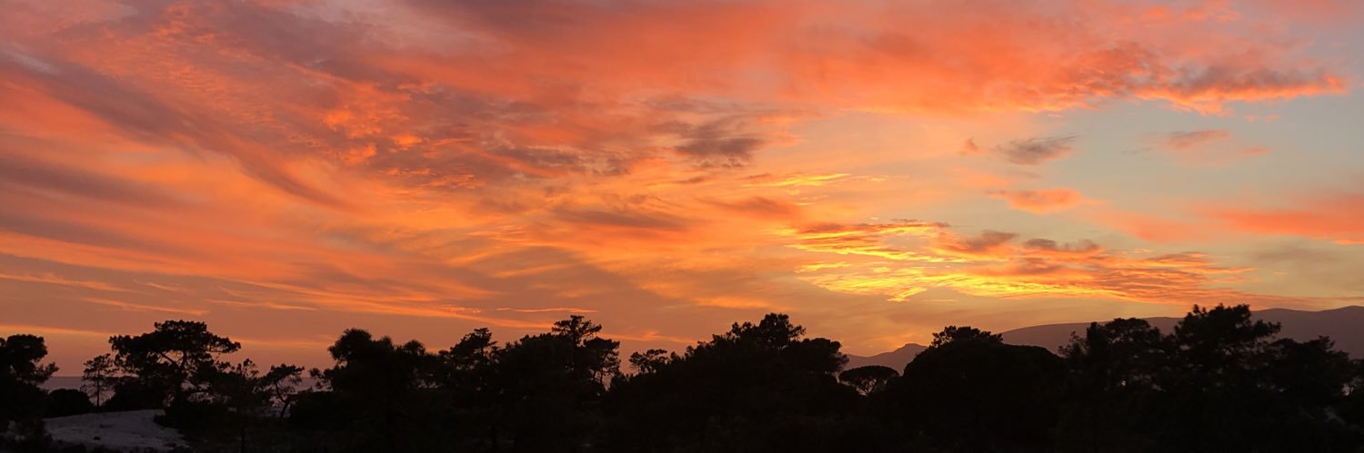 Helena Monteiro banner